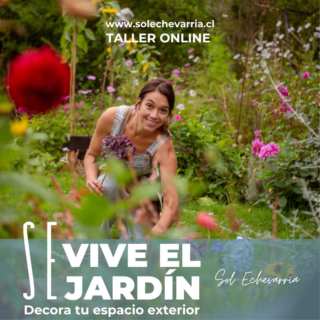 Taller Online Vive el jardín por Sol Echevarría