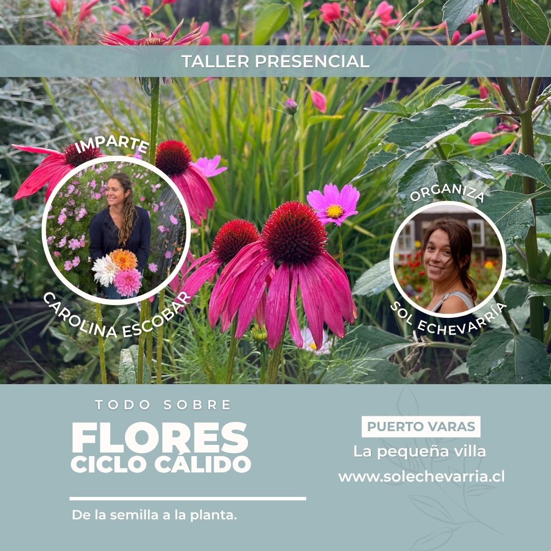 Taller Presencial "Todo sobre flores de ciclo cálido" 1 Taller Presencial "Todo sobre flores de ciclo cálido"